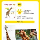 자연동화 이미지