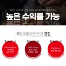 꼬치샤브