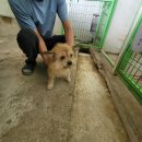 잔다리2길 이미지