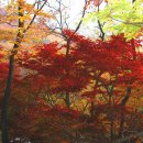 계절그리기 이미지