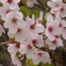 우이천로 이미지