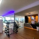 지와이 피티 이미지