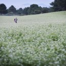 필하우스펜션 이미지