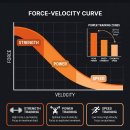임펄스 짐(IMPULSE GYM) | 둔곡동 짐공사이) 운동능력을 결정하는 진짜 힘의 질