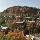 주)용평리조트 피크아일랜드 이미지