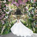 화서공원 | 디에스컨벤션 본식스냅 후기 | 첫타임결혼식 선원판...촬영추천 | 서호공원웨딩 | 화서역웨딩홀 농민...