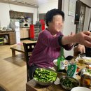 방실이네 이미지