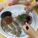 정원병설유치원 이미지