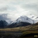 포항장성고등학교 이미지