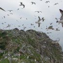 바다와갯벌 이미지