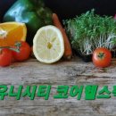 건강플랫폼/유니시티 네이버블로그
