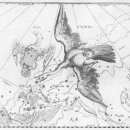 백조미디어 이미지