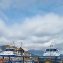 의곡초등학교 | 의곡 초등학교 거제 체험 2일차