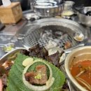 돼지소개소