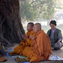 보리수하 이미지