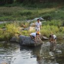 캠핑포유캠핑장 이미지