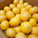 개신농장 이미지