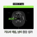 맥스구강악안면외과치과의원 이미지
