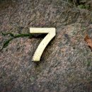 7
