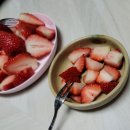 근남농장 | 울진)딸기맛집 달쿵농장