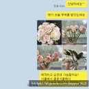 오버리히트