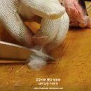 참치왕이정규
