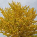 교가2리마을회관 이미지