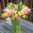 후리지아 이미지