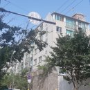 서구-01-51 이미지