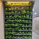 월정사주차장 화장실 이미지