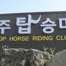탑(TOP) 승마클럽 티스토리