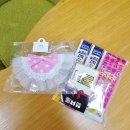 야옹아놀자 마곡점 | 마곡 고양이 미용 고민 끝! 야옹아놀자 마곡직영점에서 20분 만에 해결했어요