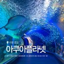 그루밍124 | 광교 가볼만한곳 아쿠아플라넷 할인 인어공주쇼 시간