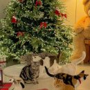 고영주택 이미지