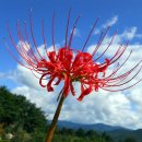 강우농장 이미지