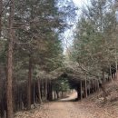 사파동240 이미지