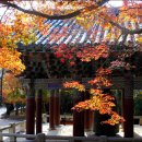 천년미가 이미지