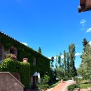 페밀리민박 | 아그리투리스모 라 소바나 Agriturismo La Sovana 패밀리 스위트 숙박 후기 🌲 토스카나 농가민박 추천