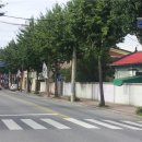 갱고개로 이미지