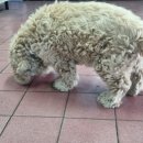 부산해양경찰서 중리출장소 이미지