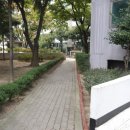 월드헬스타운 이미지