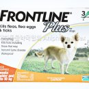 플러스 독 이미지