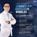 판교 P&P 동물병원 | 동탄 판교 강아지 슬개골탈구 수술 동물병원 선택은