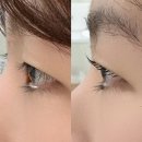 무쌍 속눈썹펌 / 카키브로우 방문 후기