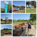 소호목장 2 이미지