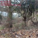 음현리마을회관 이미지