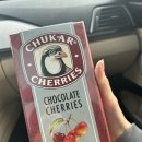 프라임 게러지 | [도산공원 맛집] 붓처스컷 스테이크 (압구정 조용한 레스토랑 추천)