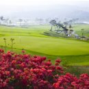 피톤골프 이미지