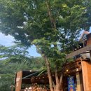 금오산풀하우스 이미지