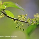 상산목장 티스토리